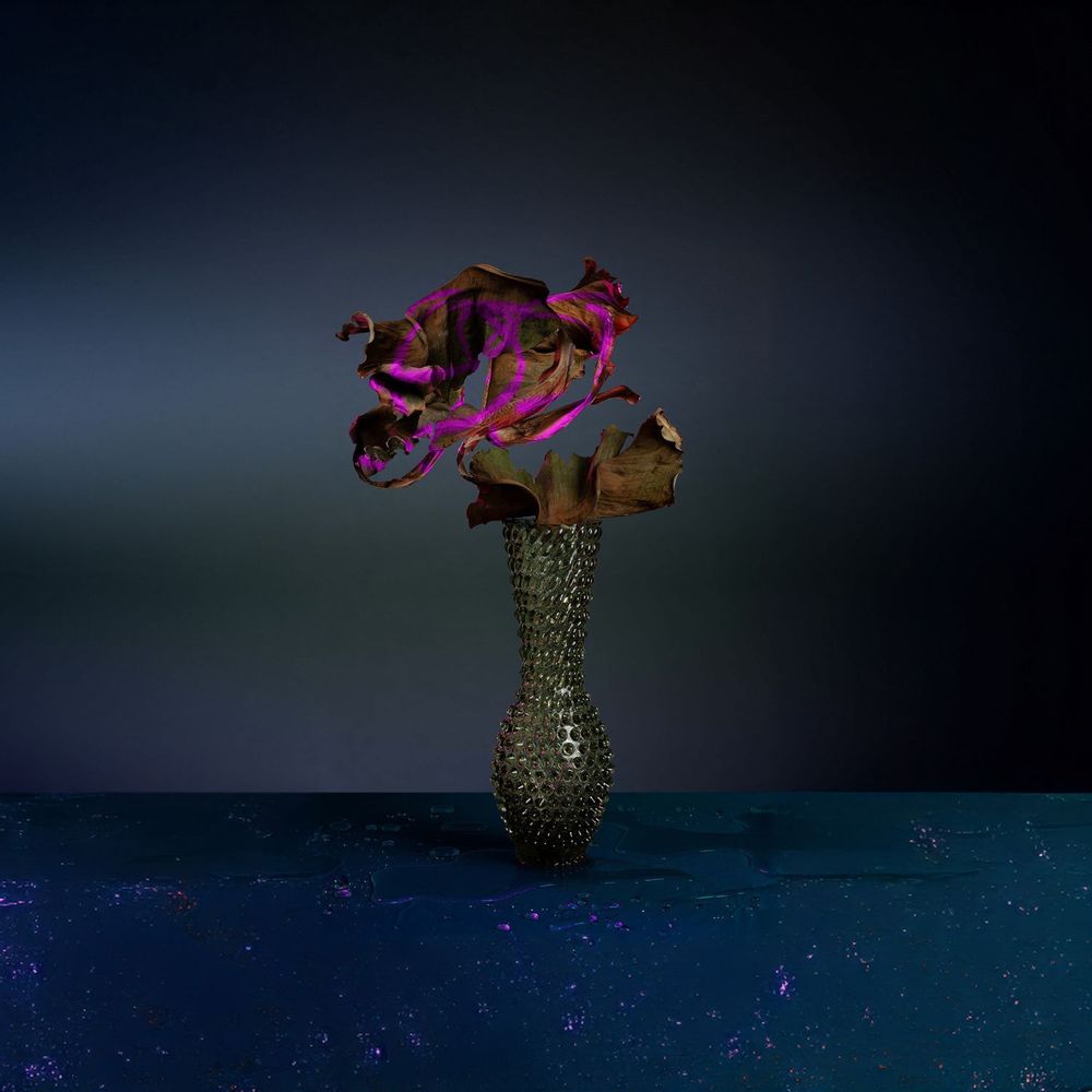 Vases - Fugu Vases - KLIMCHI