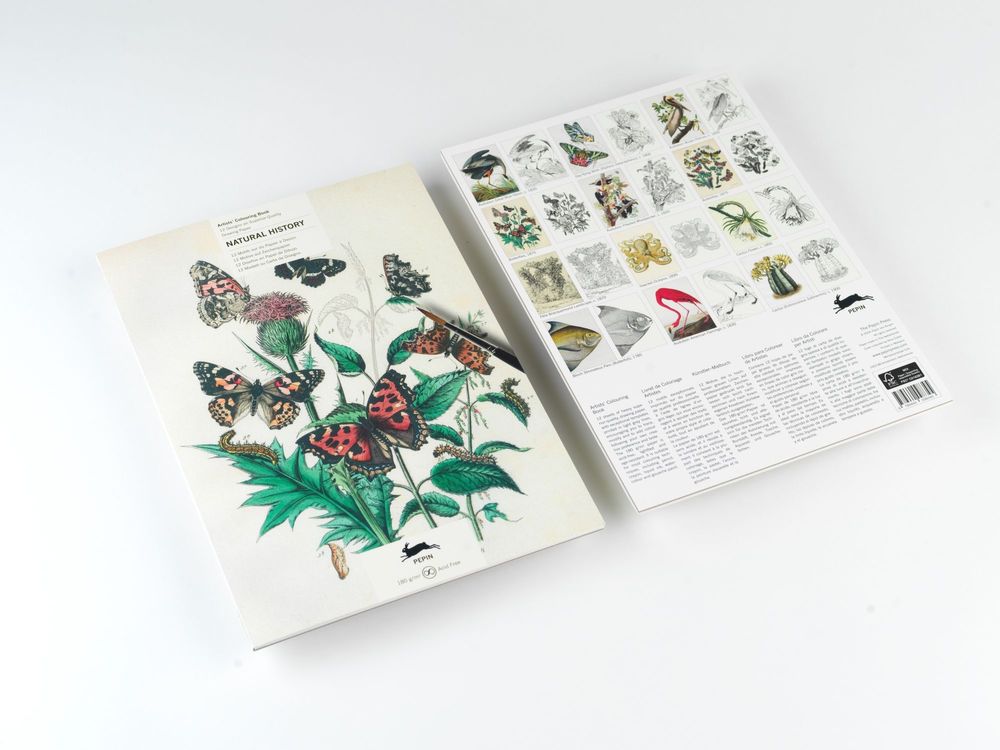Cadeaux - Livret de coloriage Artistes - THE PEPIN PRESS