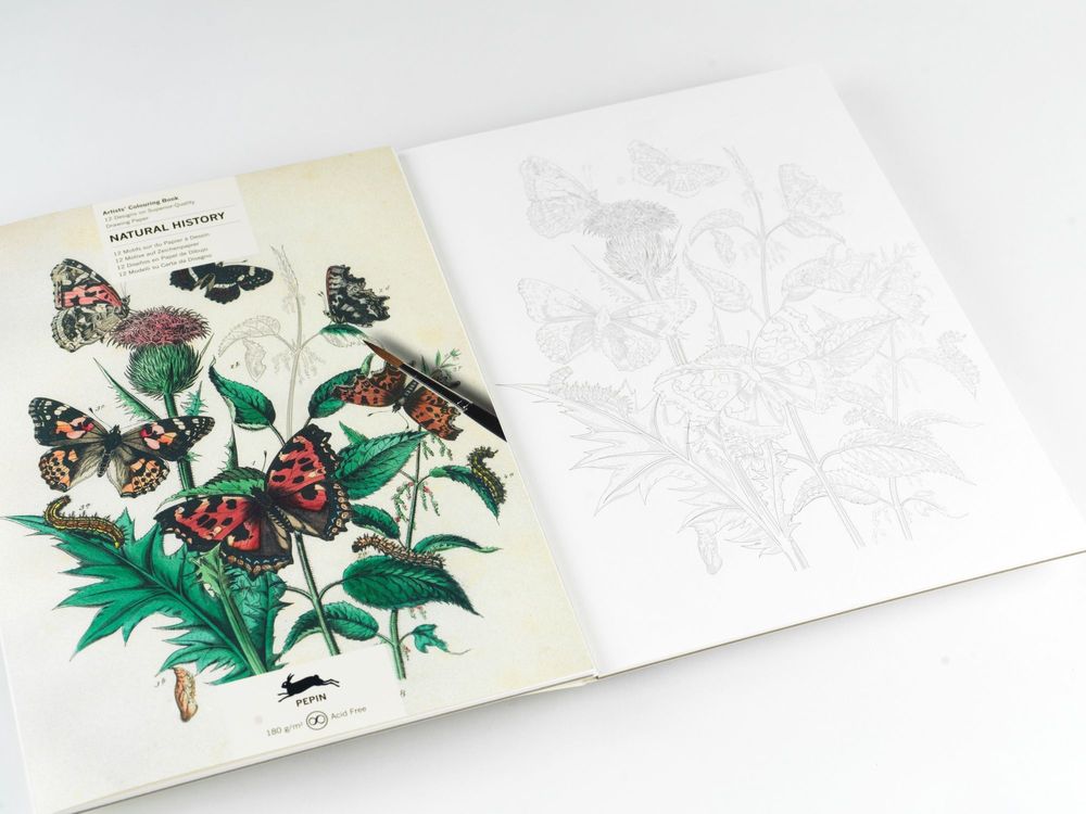 Cadeaux - Livret de coloriage Artistes - THE PEPIN PRESS