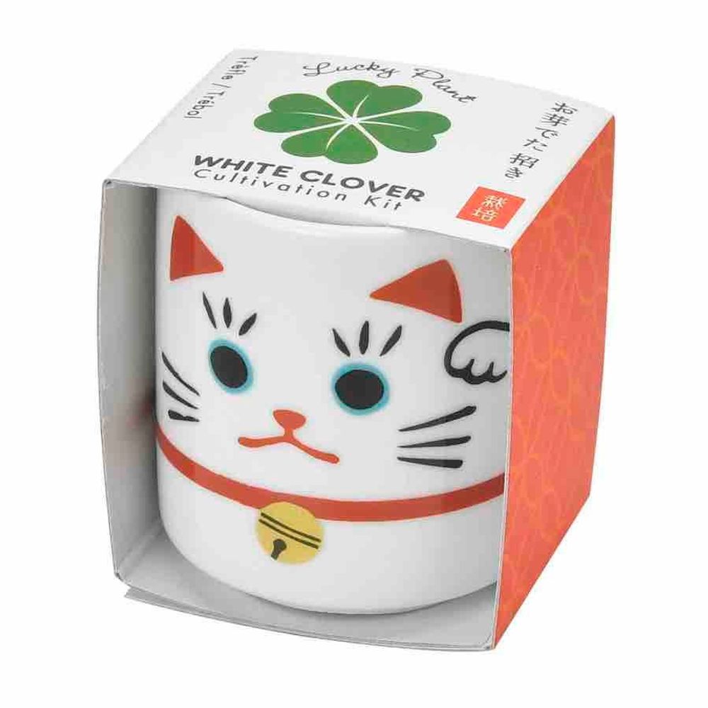 Children's decorative items - Lucky Plants - Beckoning Cat - NOTED