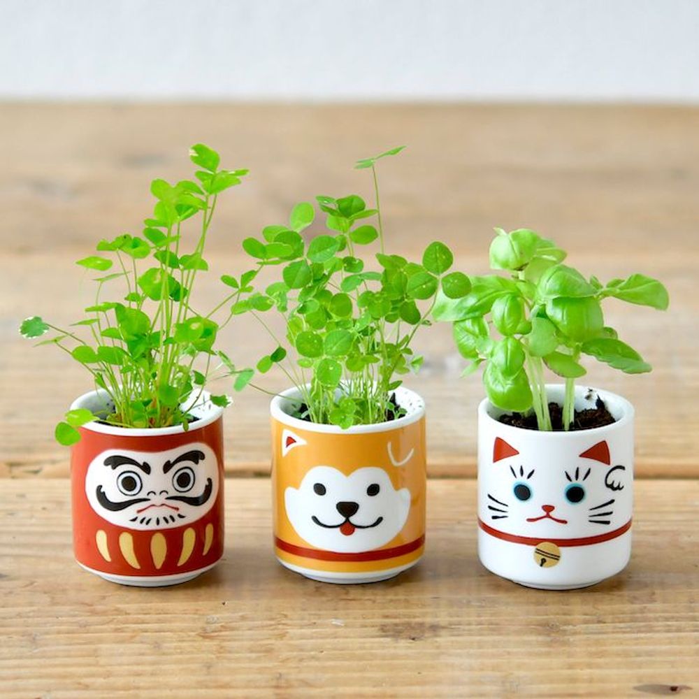 Children's decorative items - Lucky Plants - Beckoning Cat - NOTED