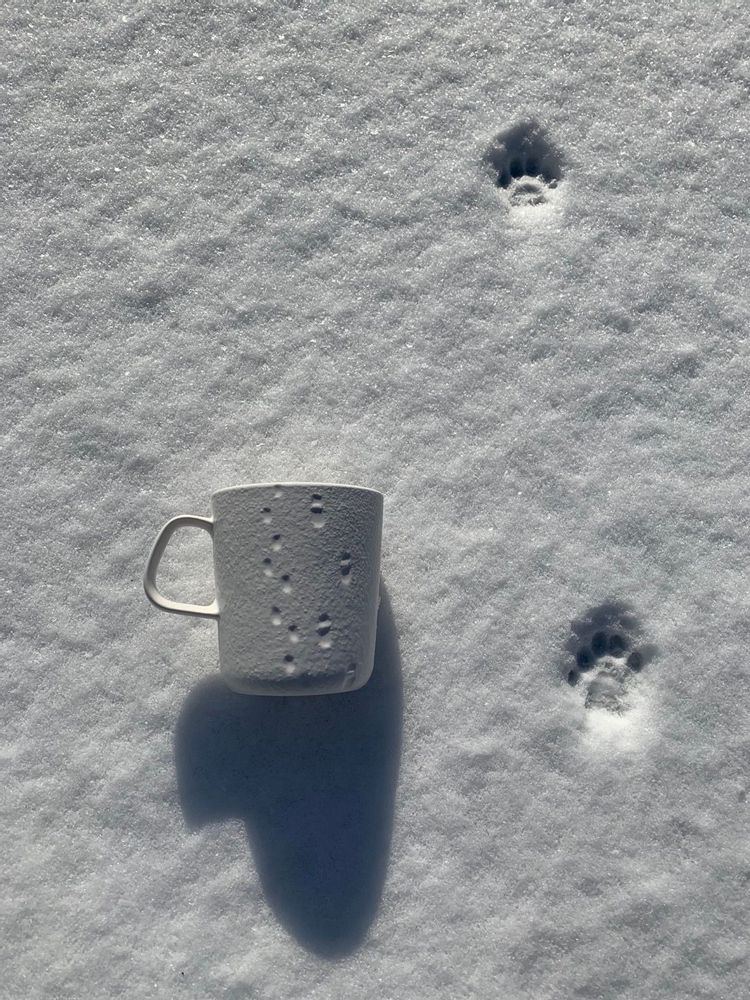 Mugs - SNOW WALTZ mug - NCW / NVT