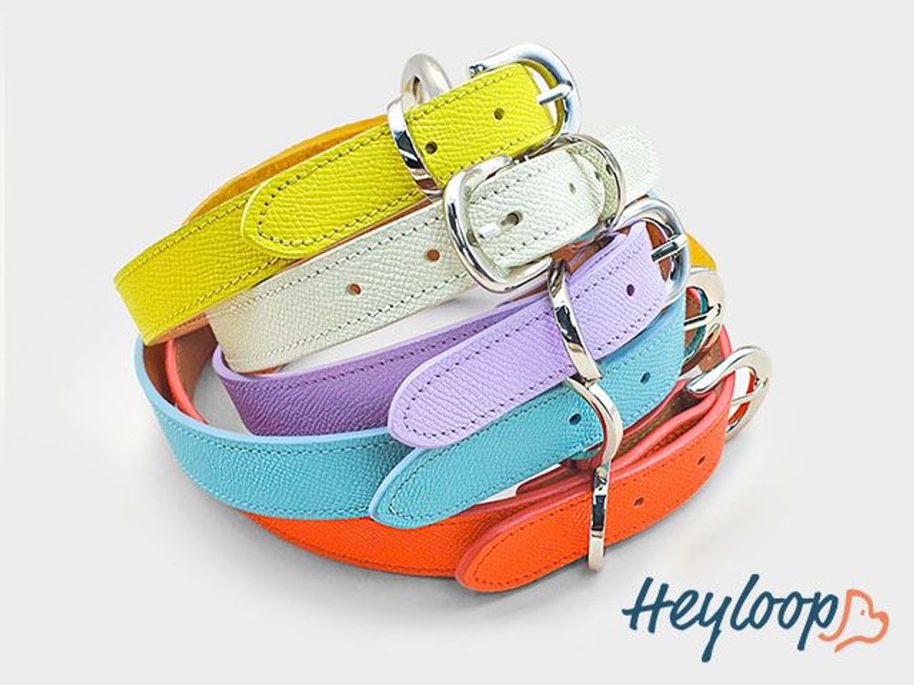 Decorative objects - Premium Epsom Leather Neck Collar - HEYLOOP