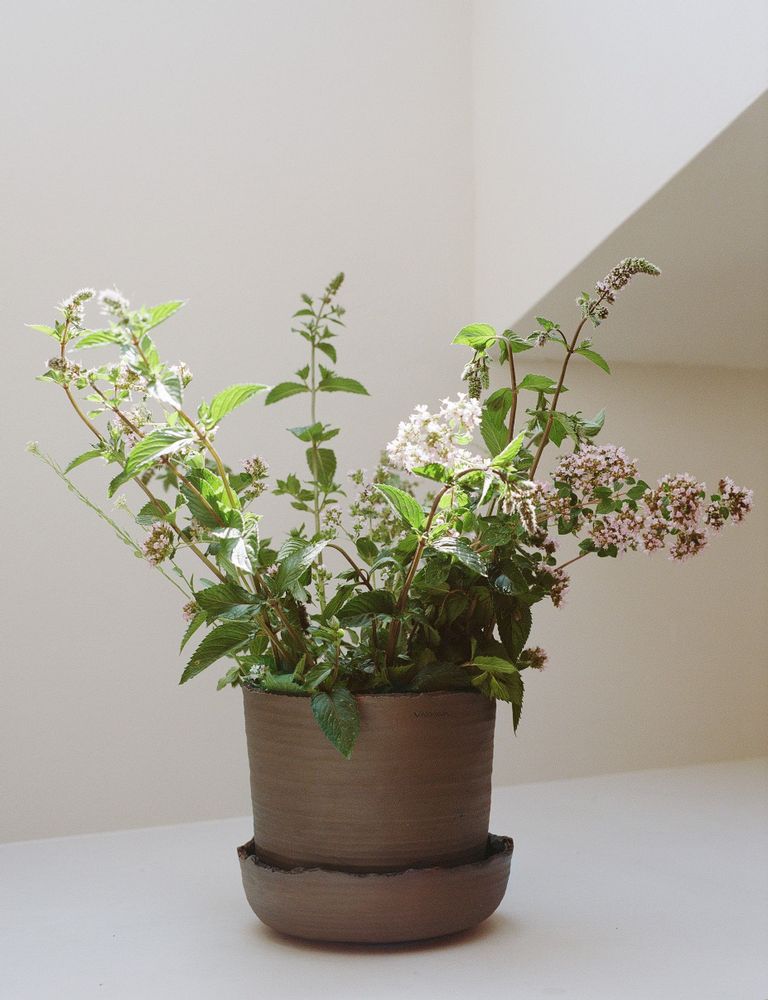 Décorations florales - Pot à fleurs avec soucoupe · SOL - VAIDAVA CERAMICS