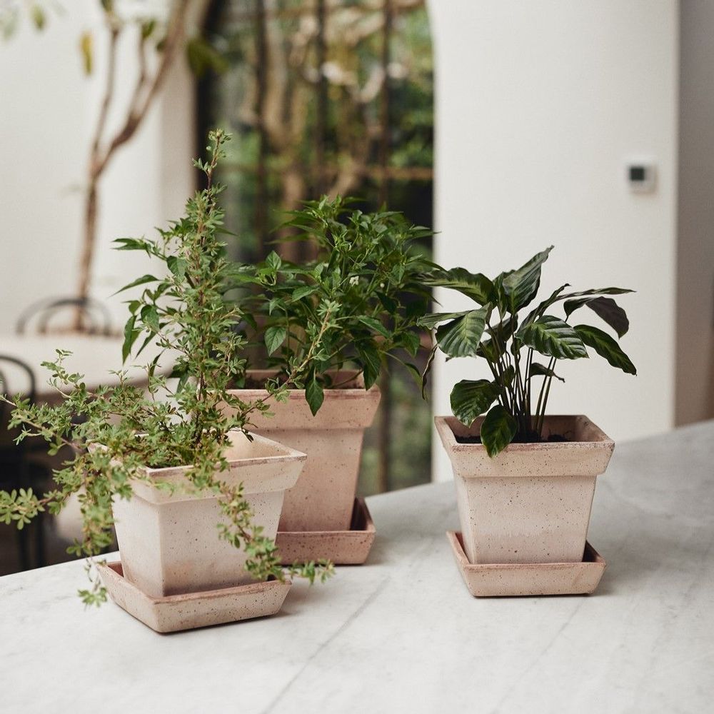 Pots de fleurs - Gaia - La Terreuse - BERGS POTTER