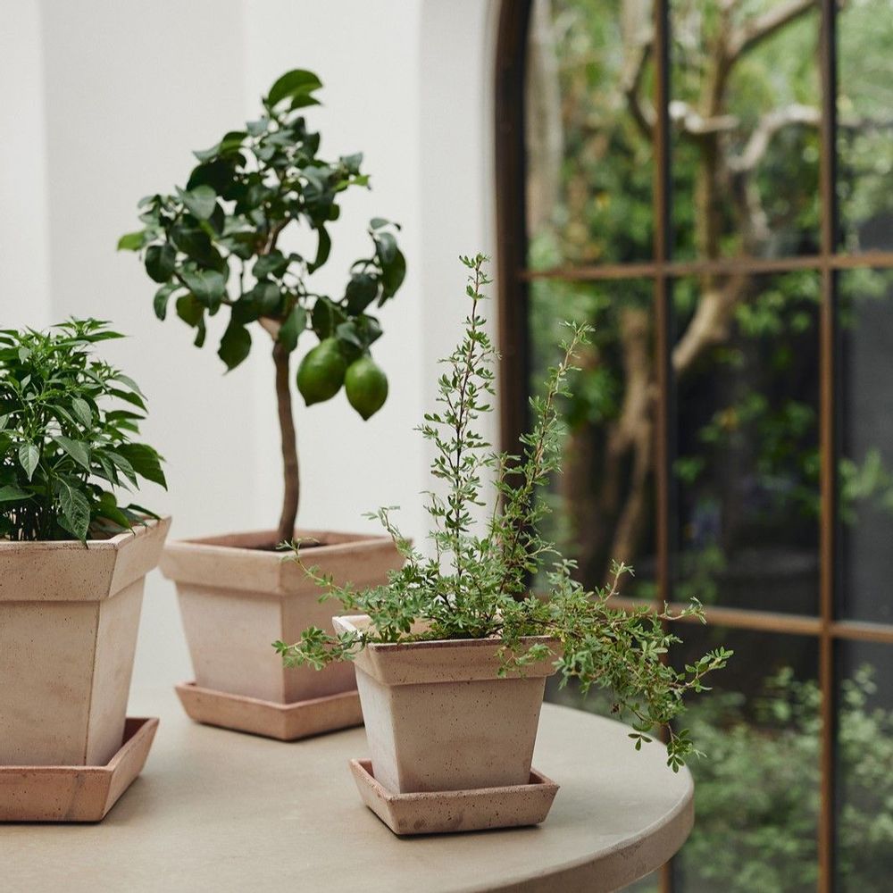 Pots de fleurs - Gaia - La Terreuse - BERGS POTTER