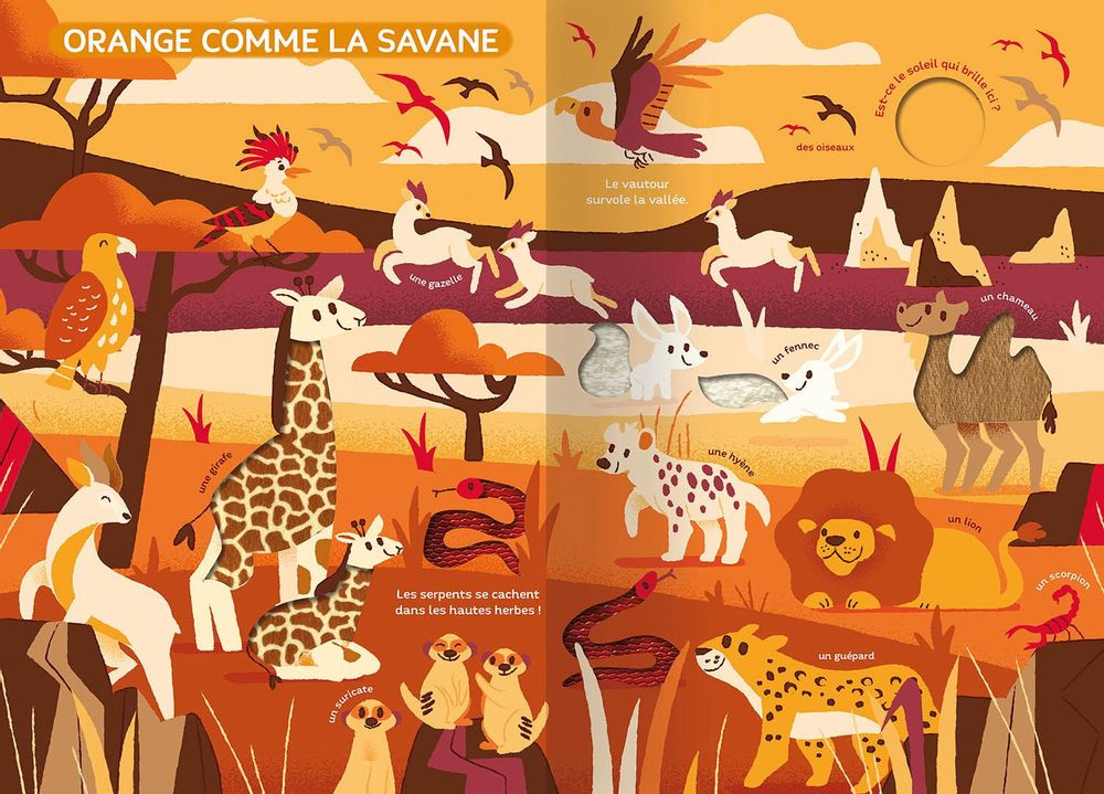 Jouets enfants - Mon très grand livre d'éveil - Le monde des couleurs - AUZOU