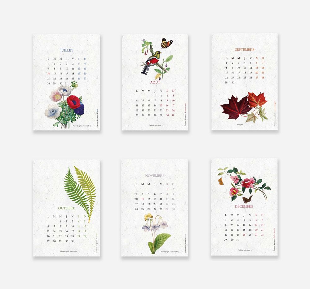 Papeterie - Calendrier à planter 2025 - Biodiversité - PAPIERFLEUR