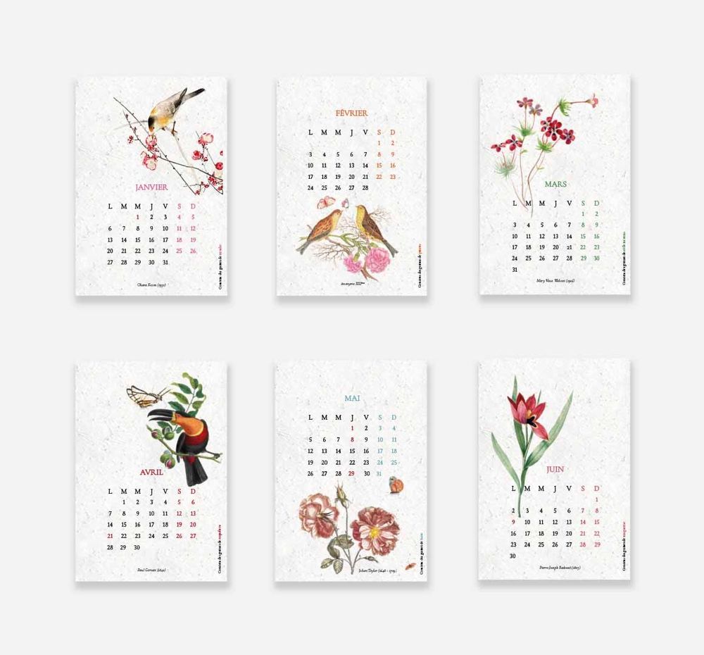 Papeterie - Calendrier à planter 2025 - Biodiversité - PAPIERFLEUR