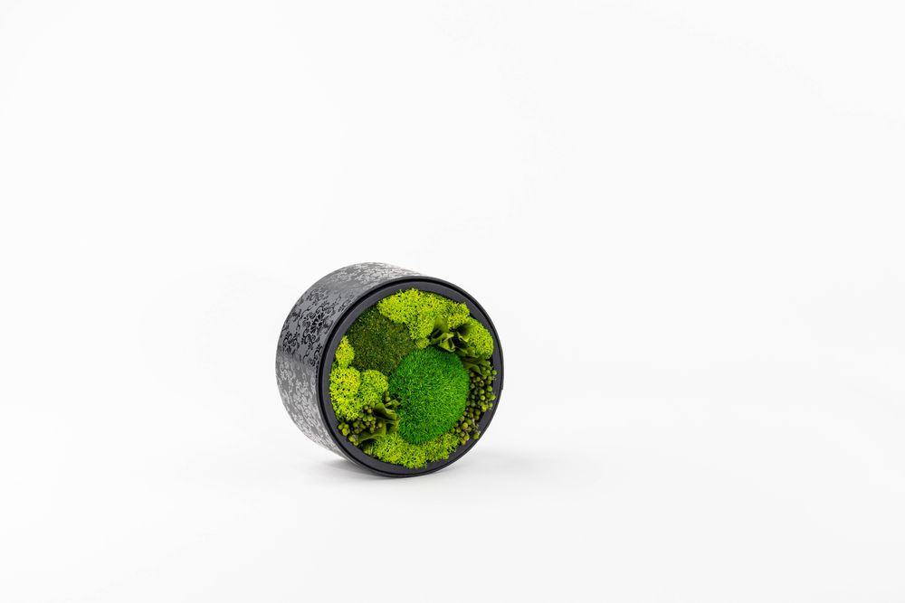 Objets de décoration - Coffret / Boite de fleurs préservées - Rond taille M - BENOIT SAINT AMAND