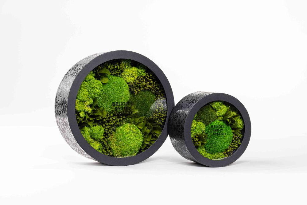 Objets de décoration - Coffret / Boite de fleurs préservées - Rond taille M - BENOIT SAINT AMAND
