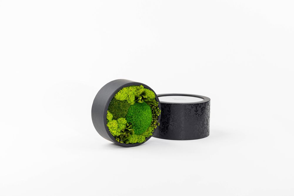 Objets de décoration - Coffret / Boite de fleurs préservées - Rond taille M - BENOIT SAINT AMAND