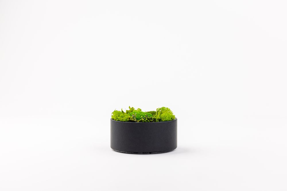 Objets de décoration - Coffret / Boite de fleurs préservées - Rond taille M - BENOIT SAINT AMAND
