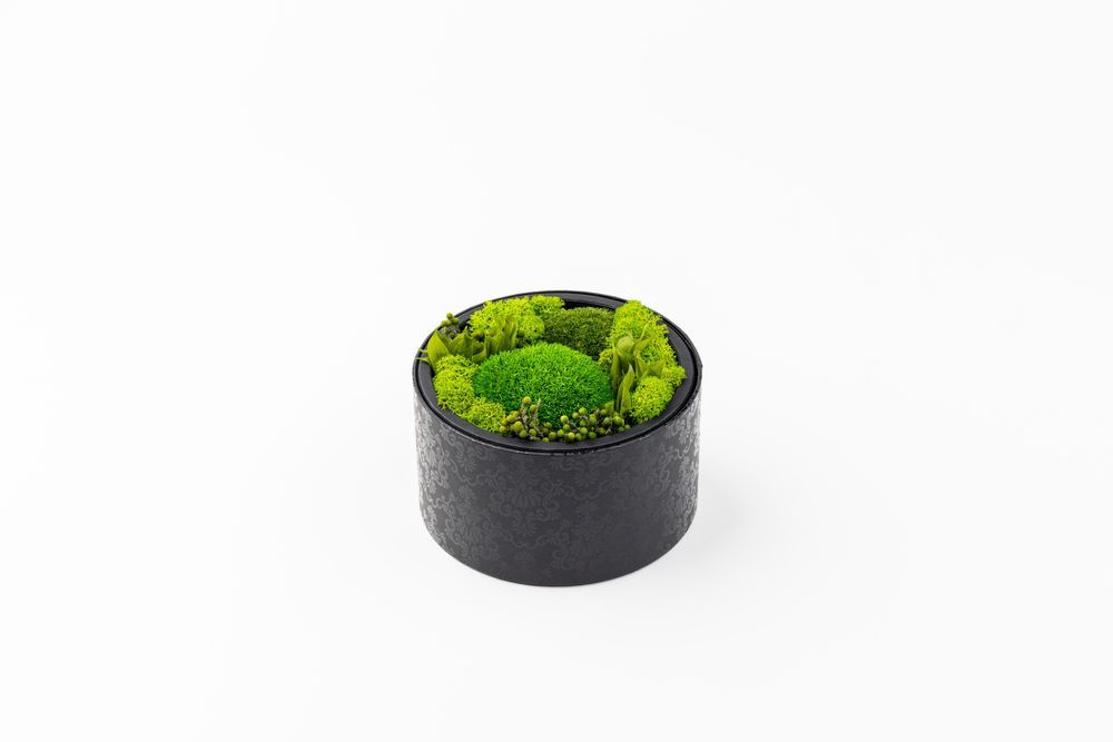 Objets de décoration - Coffret / Boite de fleurs préservées - Rond taille M - BENOIT SAINT AMAND
