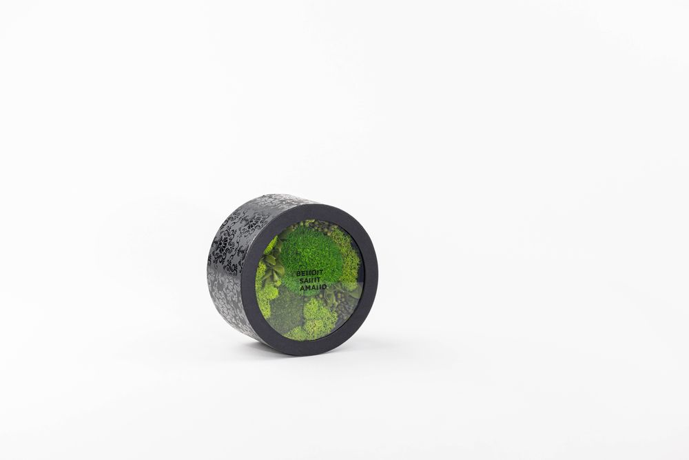 Objets de décoration - Coffret / Boite de fleurs préservées - Rond taille M - BENOIT SAINT AMAND