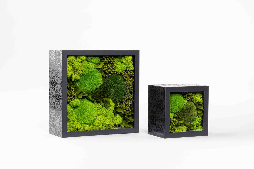 Coffrets et boîtes - Coffret de fleurs préservées - Boîte carrée taille M - BENOIT SAINT AMAND