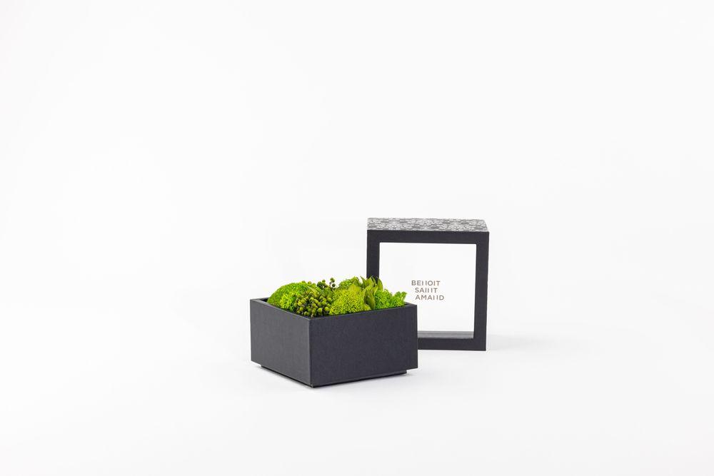 Coffrets et boîtes - Coffret de fleurs préservées - Boîte carrée taille M - BENOIT SAINT AMAND