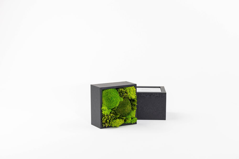 Coffrets et boîtes - Coffret de fleurs préservées - Boîte carrée taille M - BENOIT SAINT AMAND