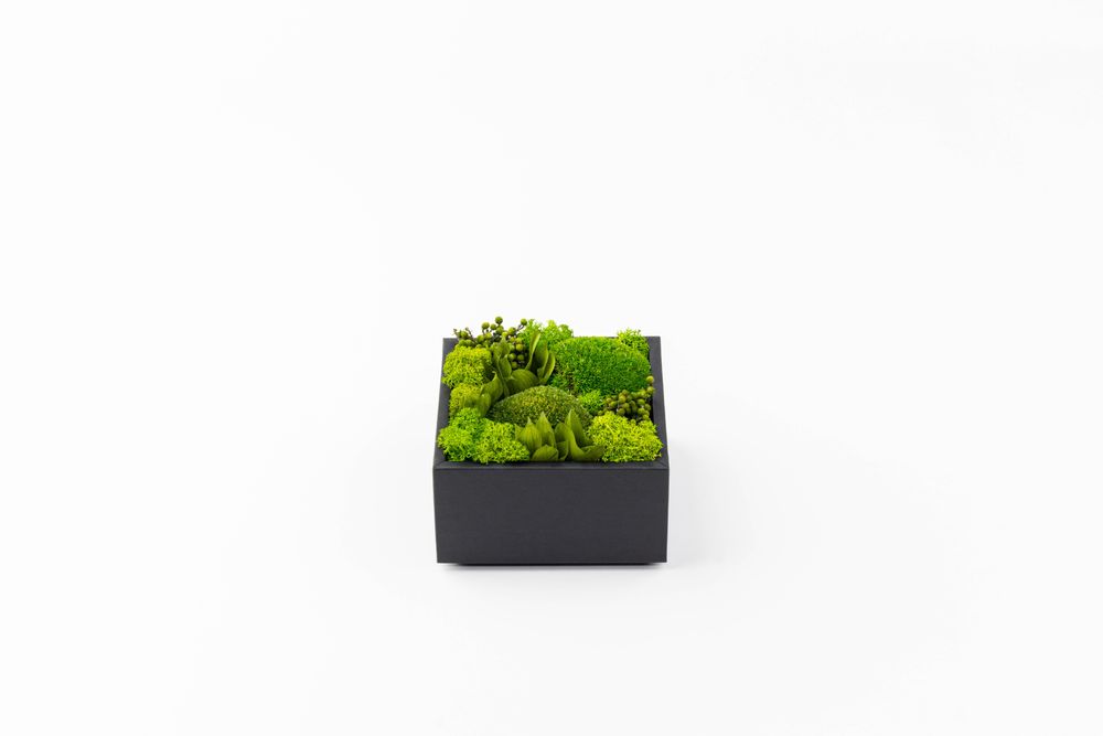 Coffrets et boîtes - Coffret de fleurs préservées - Boîte carrée taille M - BENOIT SAINT AMAND