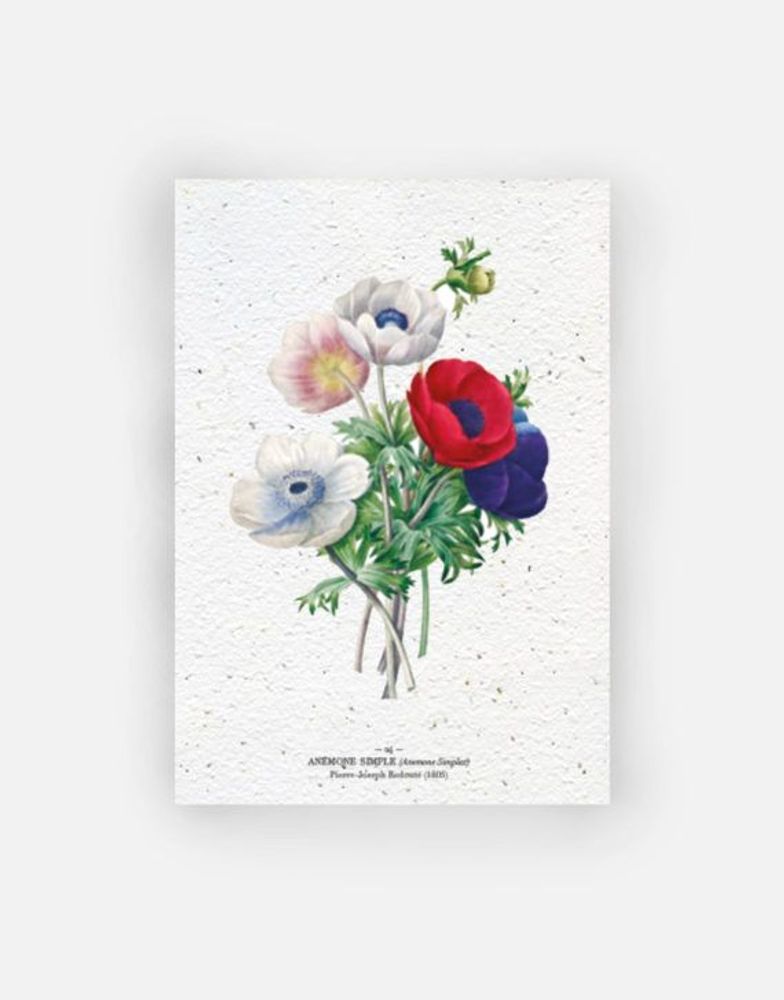Carterie - Carte à planter - PAPIERFLEUR