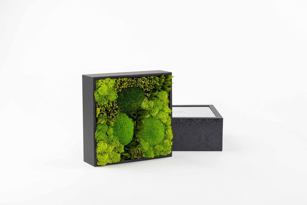 Coffrets et boîtes - Coffret de fleurs préservées - Boîte carrée Size L - BENOIT SAINT AMAND