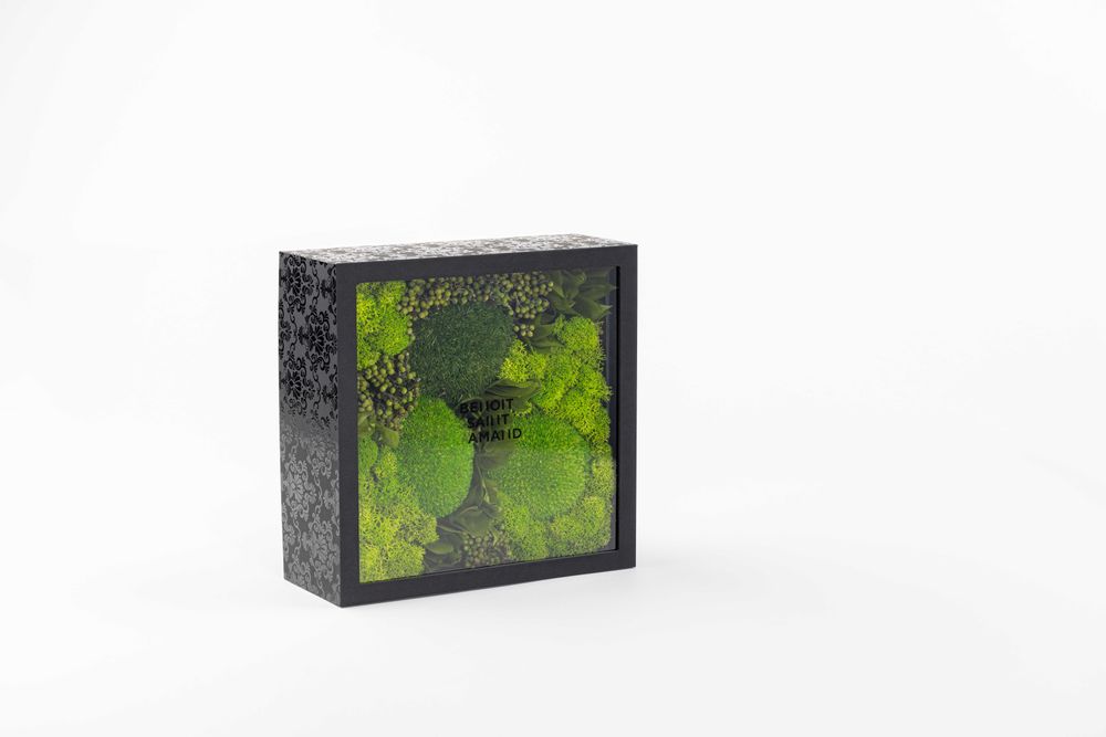 Coffrets et boîtes - Coffret de fleurs préservées - Boîte carrée Size L - BENOIT SAINT AMAND