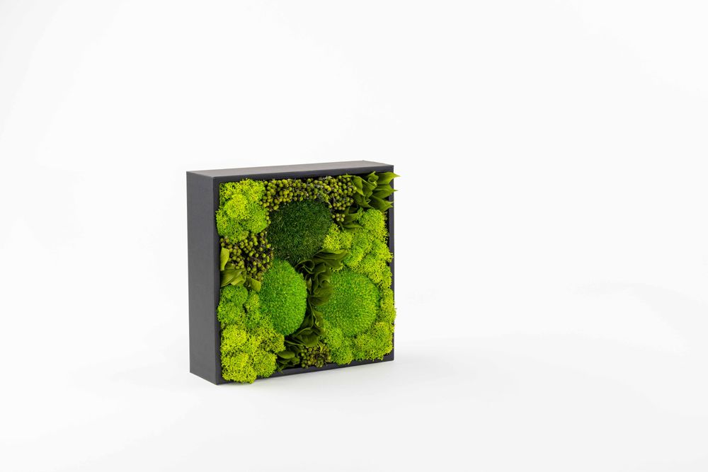Coffrets et boîtes - Coffret de fleurs préservées - Boîte carrée Size L - BENOIT SAINT AMAND