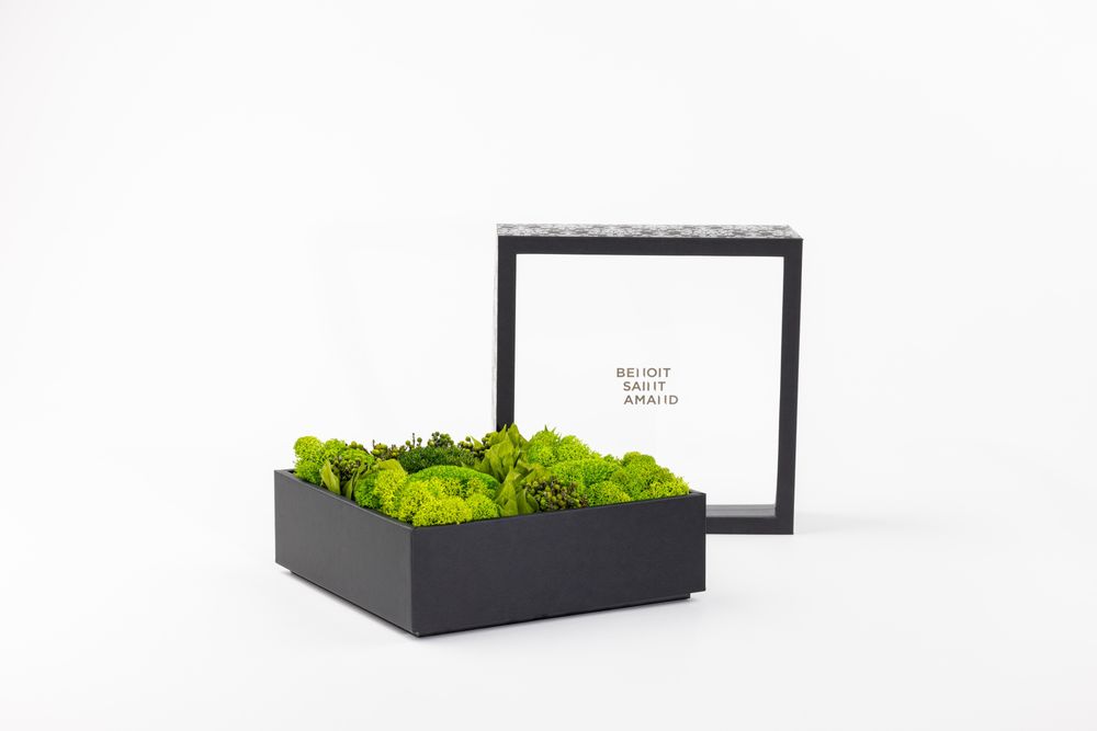 Coffrets et boîtes - Coffret de fleurs préservées - Boîte carrée Size L - BENOIT SAINT AMAND