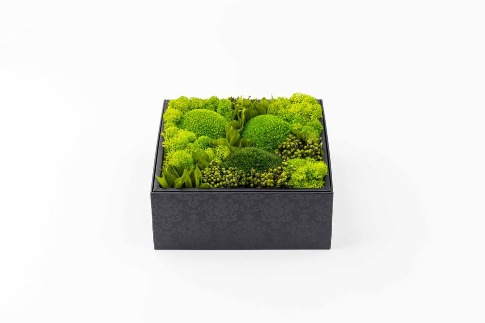 Coffrets et boîtes - Coffret de fleurs préservées - Boîte carrée Size L - BENOIT SAINT AMAND