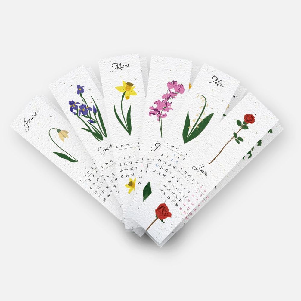 Papeterie - Lot de marque-pages à planter - PAPIERFLEUR