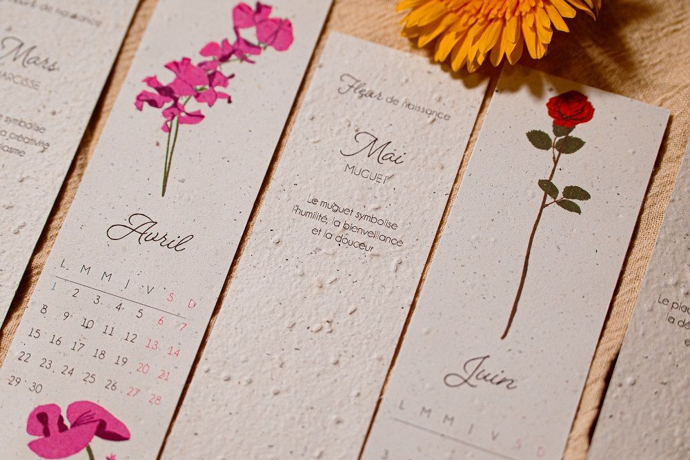 Papeterie - Lot de marque-pages à planter - PAPIERFLEUR