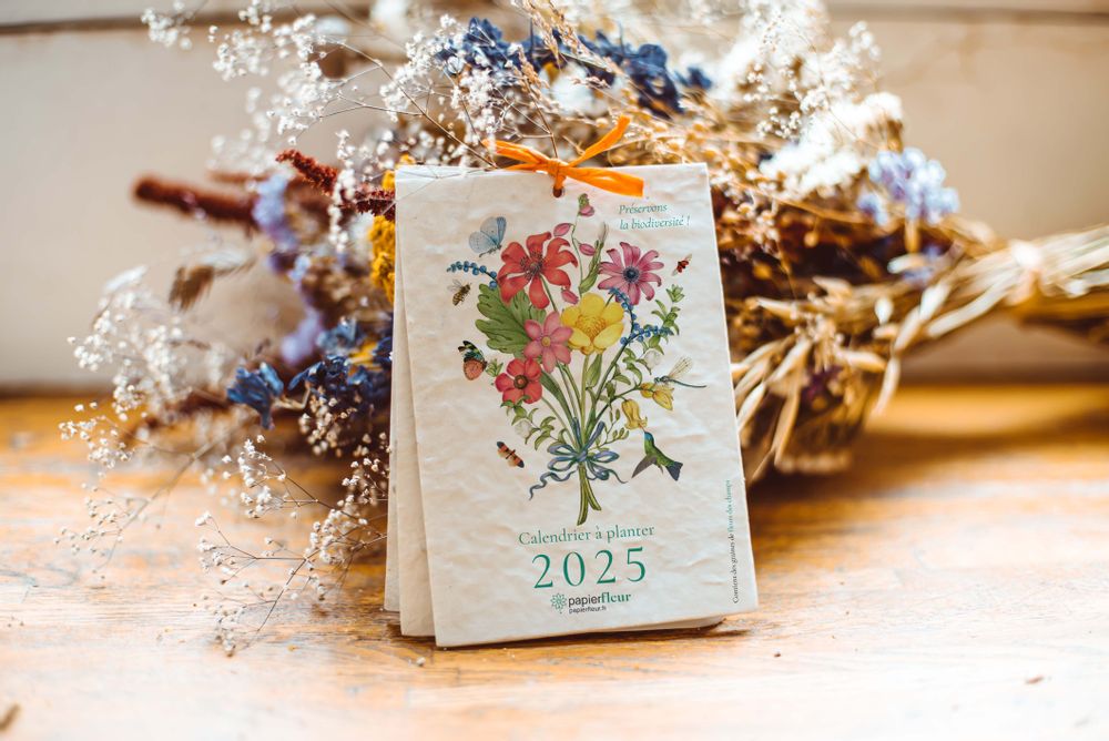 Papeterie - Calendrier à planter 2025 - Biodiversité - PAPIERFLEUR