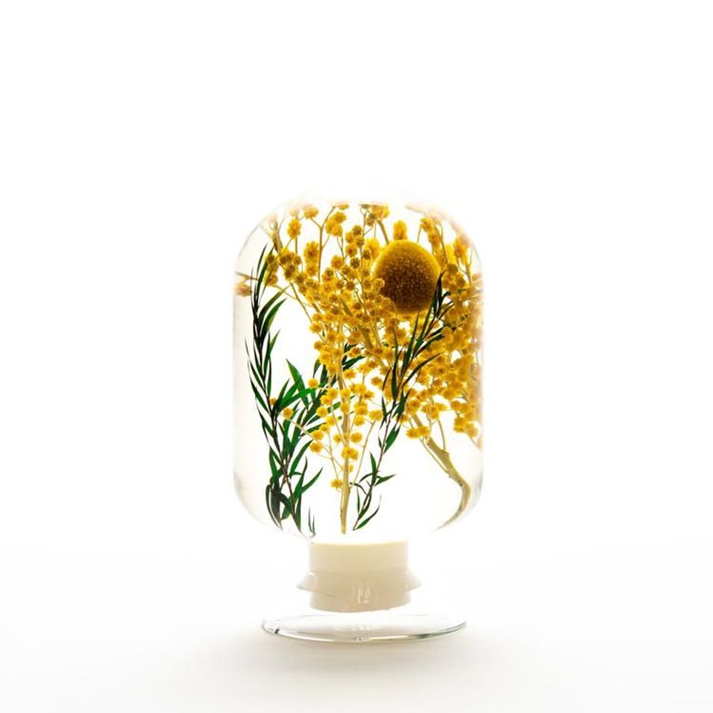 Decorative objects - Pieces of Time - Heart Grass - KOFICE