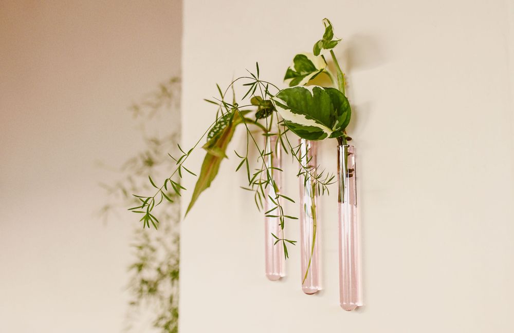 Vases - Walleaf (3 pack) - WALLEAF