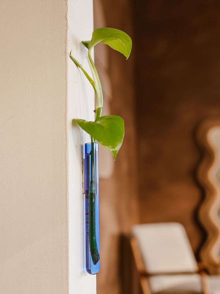 Vases - Walleaf (1 pack) - WALLEAF