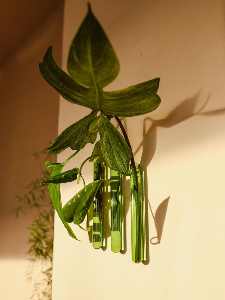 Vases - Walleaf (3 pack) - WALLEAF