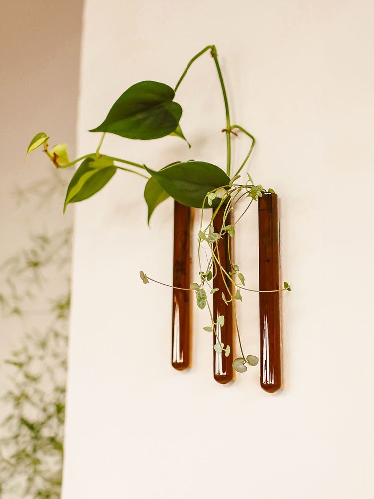Vases - Walleaf (3 pack) - WALLEAF