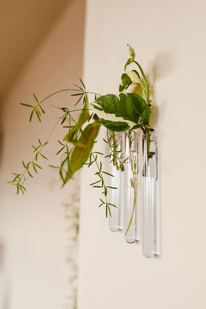 Vases - Walleaf (3 pack) - WALLEAF
