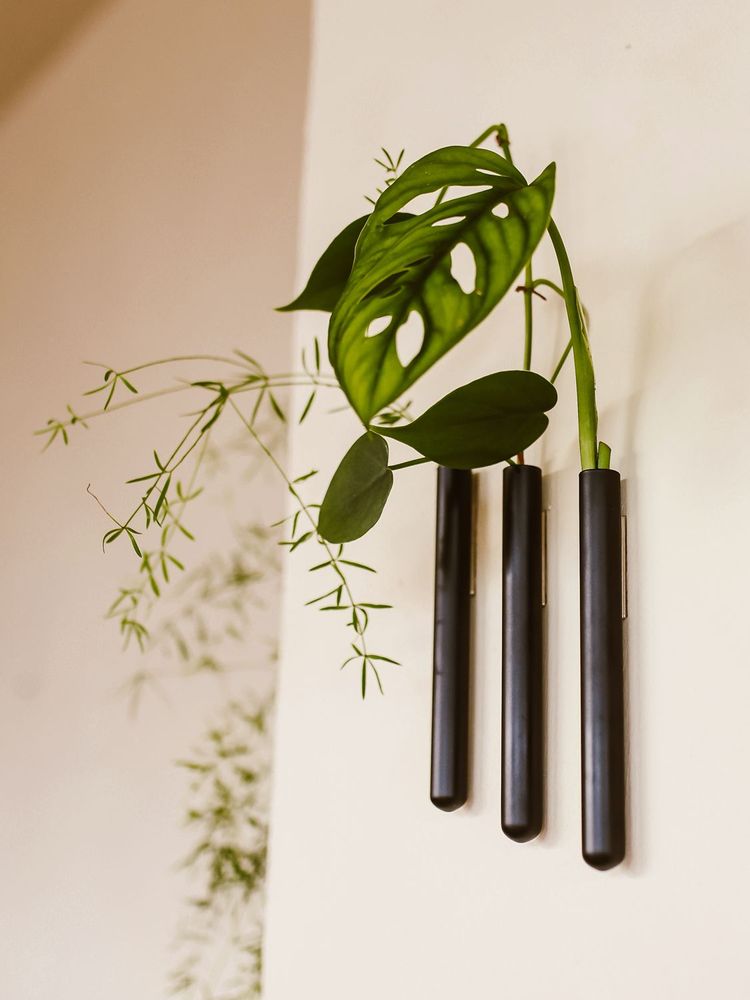 Vases - Walleaf (3 pack) - WALLEAF