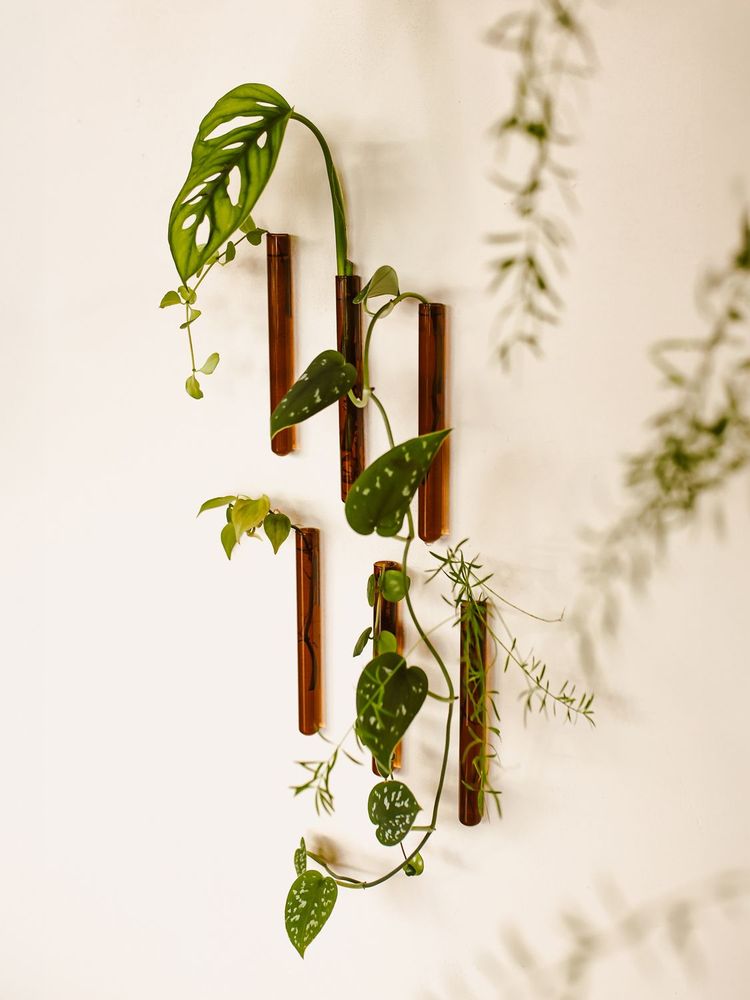 Vases - Walleaf (6 pack) - WALLEAF