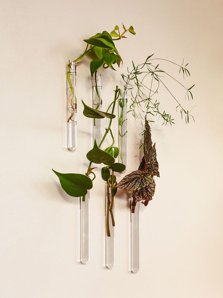 Vases - Walleaf (6 pack) - WALLEAF