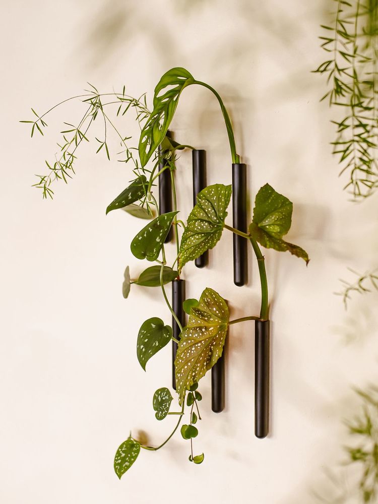 Vases - Walleaf (6 pack) - WALLEAF