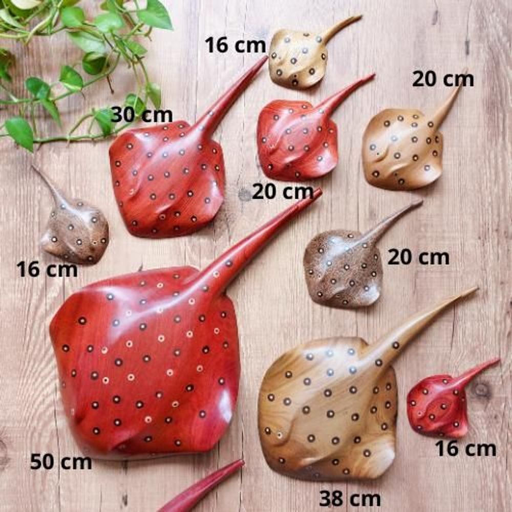 Decorative objects - Stingray in Wood - Ethnicity Baré - Amazon - Various Sizes and Colors - ARUH ART & DECOR
