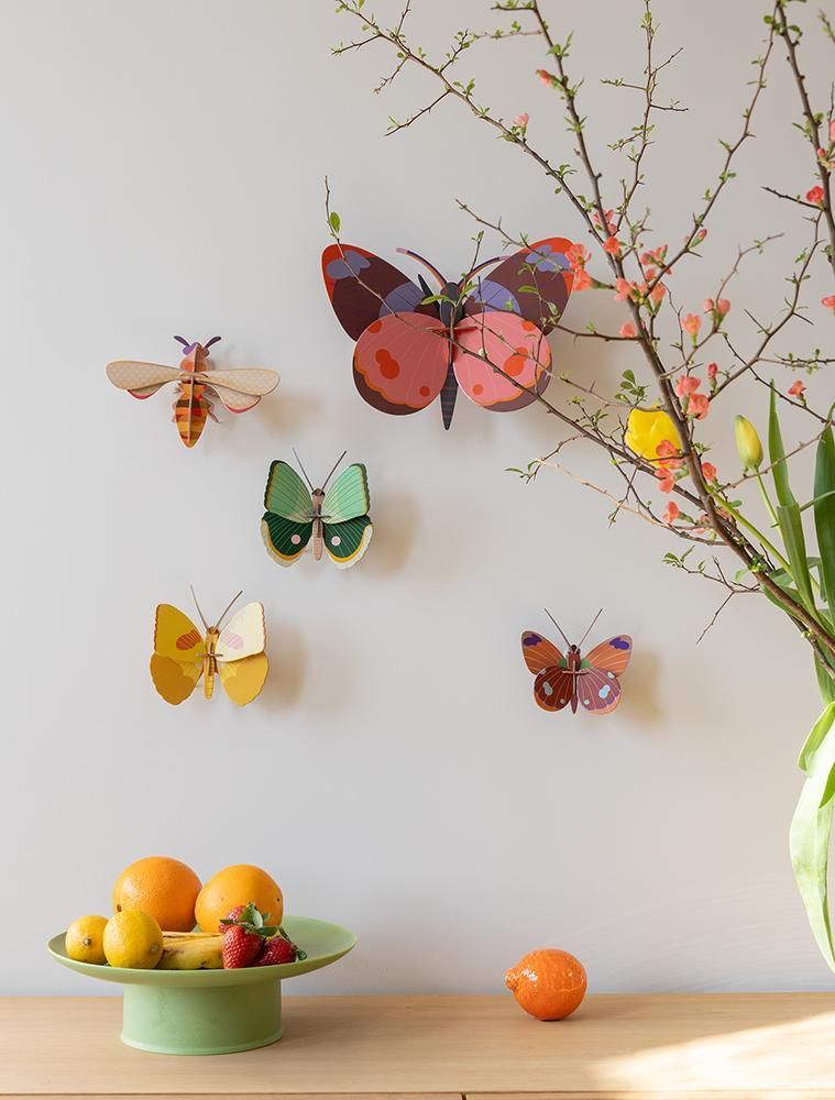 Other wall decoration - Butterflies & Beetles - STUDIO ROOF