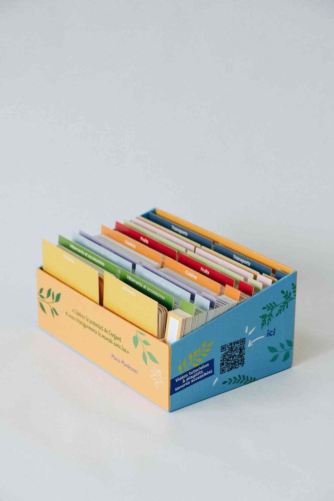 Children's games - Giga Mondy, 600 classified cards to learn new words - OBSERVE MONTESSORI