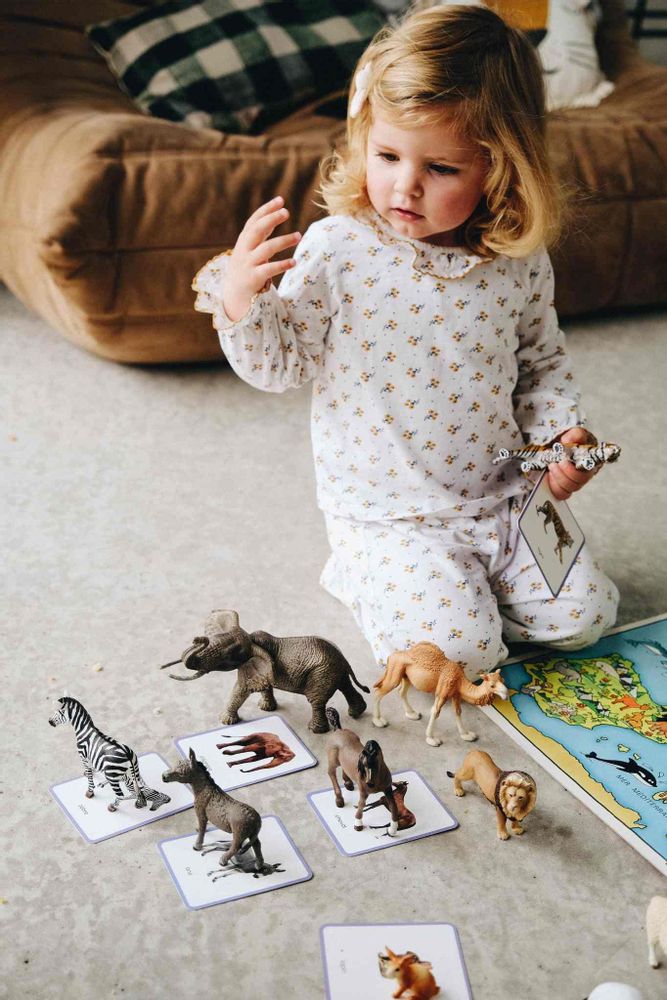 Children's games - Giga Mondy, 600 classified cards to learn new words - OBSERVE MONTESSORI