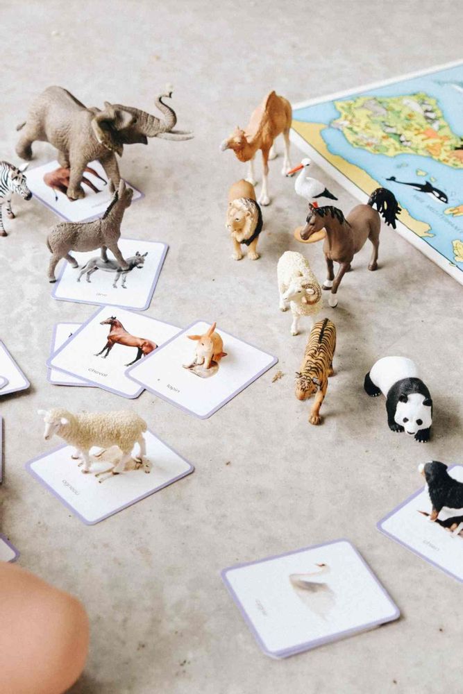 Children's games - Mini-Mondy des Animaux: 90 cards to enrich your vocabulary - OBSERVE MONTESSORI