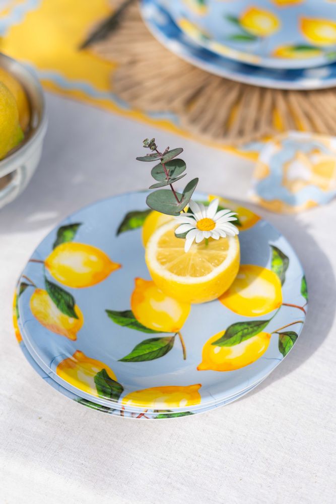 Everyday plates - Sorbet Collection - FERN&CO.