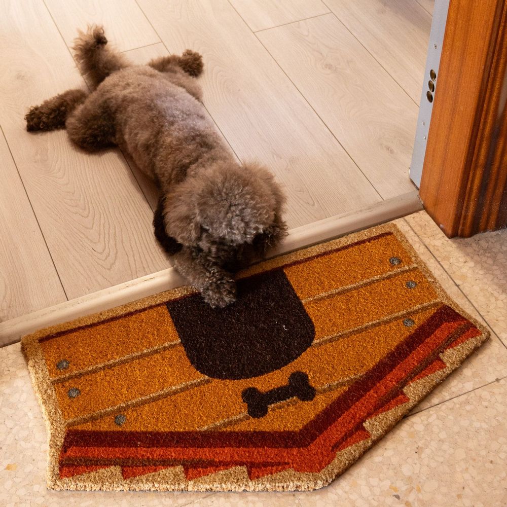 Autres tapis - PAILLASSONS SEMI-CIRCULAIRES - FISURA