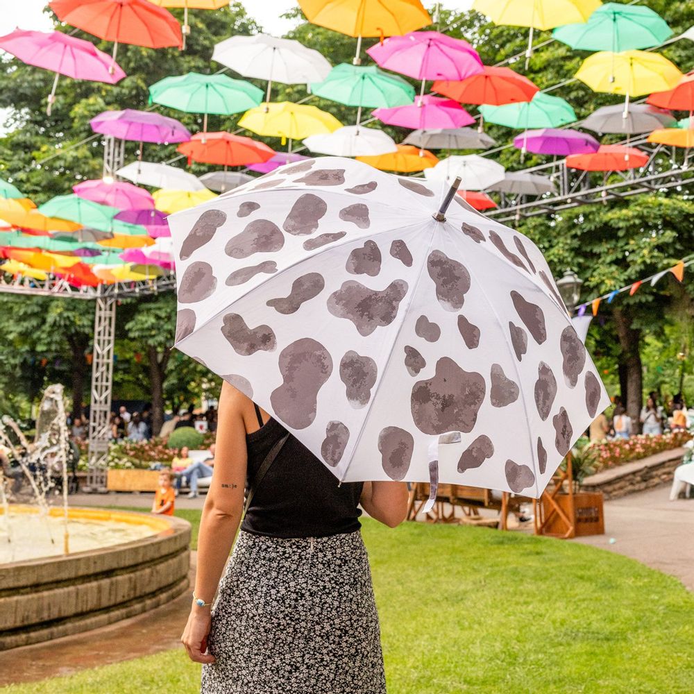 Apparel - UMBRELLAS - FISURA